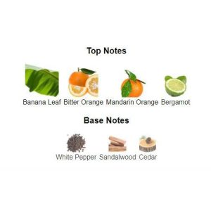 CHEVIGNON Best Eau De Toilette