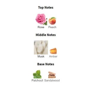 NARCISO RODRI**** For Her Eau De Parfum – Parfum Original