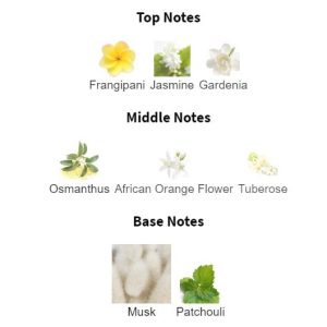 NARCISO RODRI**** For Her Forever Eau De Parfum – Parfum Original