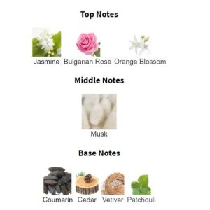 NARCISO RODRI**** Poudree Eau De Parfum – Parfum Original