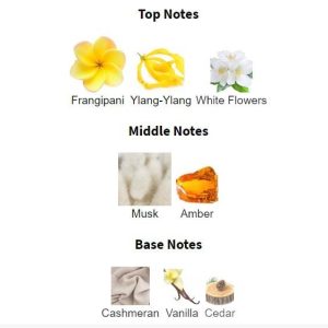 NARCISO RODRI**** Ambree Eau De Parfum – Parfum Original