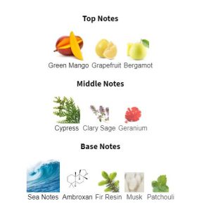 RALPH LAU*** Polo Deep Blue Parfum – Parfum Original