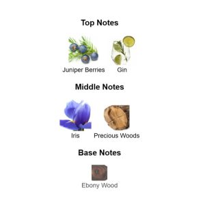 DAVIDO** The Game Eau De Toilette – Parfum Original