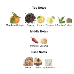 DAVIDO** Adventure Eau De Toilette – Parfum Original