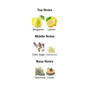 DAVIDO** Champion Eau De Toilette – Parfum Original