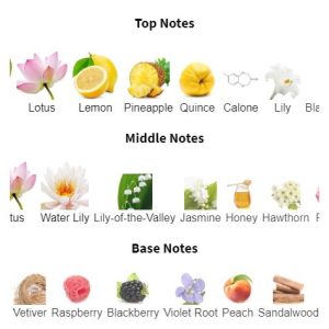 DAVIDOF* Cool Water Woman Eau De Toilette – Parfum Wanita Original