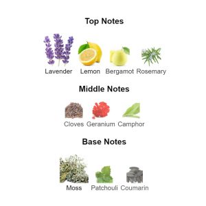 LOMANI Pour Homme Eau De Toilette – Parfum Original