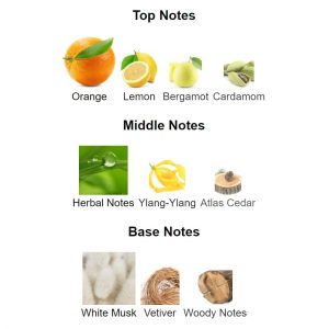 LOMANI White Intense Pour Homme 100ml Eau De Toilette – Parfum Original