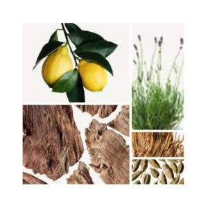 FRANCK OLIVIER Sunrise Ice Eau De Toilette – Parfum Original