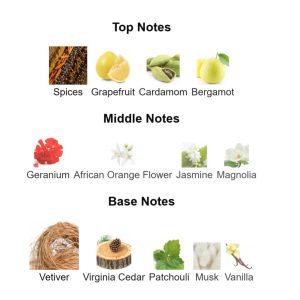 FRANCK OLIVIER Black Touch Eau De Toilette – Parfum Original