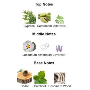 MERCEDES B*** Man Private Eau De Parfum – Parfum Original