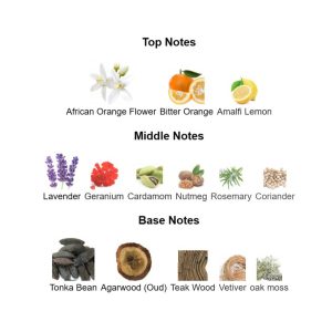 JACQUES BOG*** Silver Scent Intense Eau De Toilette – Parfum Original